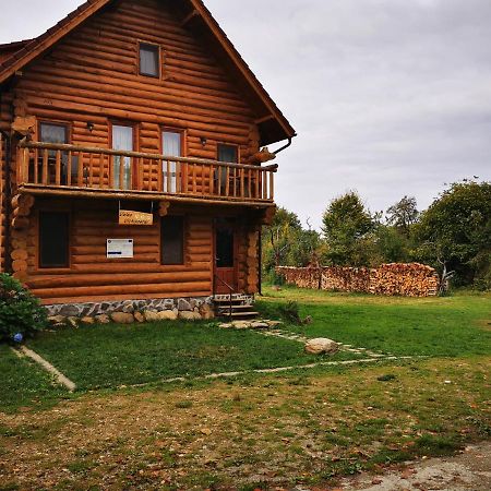 Willa Valea Vistisoarei Vistisoara Zewnętrze zdjęcie