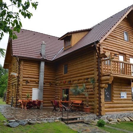 Willa Valea Vistisoarei Vistisoara Zewnętrze zdjęcie