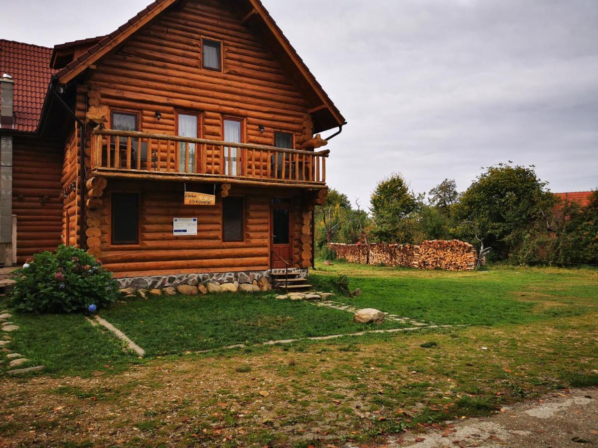 Willa Valea Vistisoarei Vistisoara Zewnętrze zdjęcie