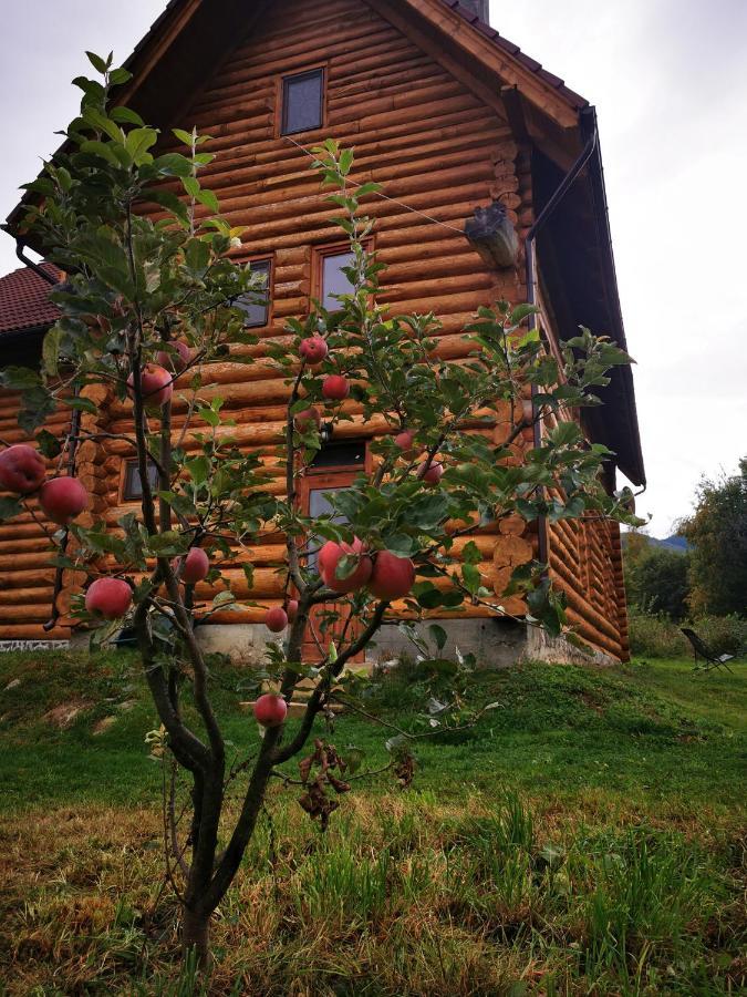 Willa Valea Vistisoarei Vistisoara Zewnętrze zdjęcie