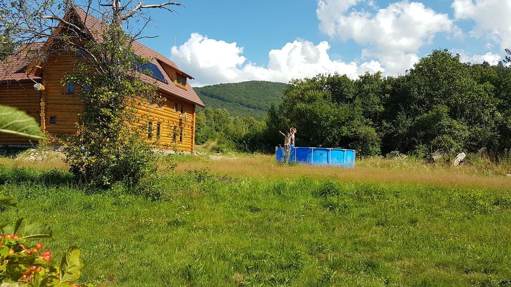 Willa Valea Vistisoarei Vistisoara Zewnętrze zdjęcie