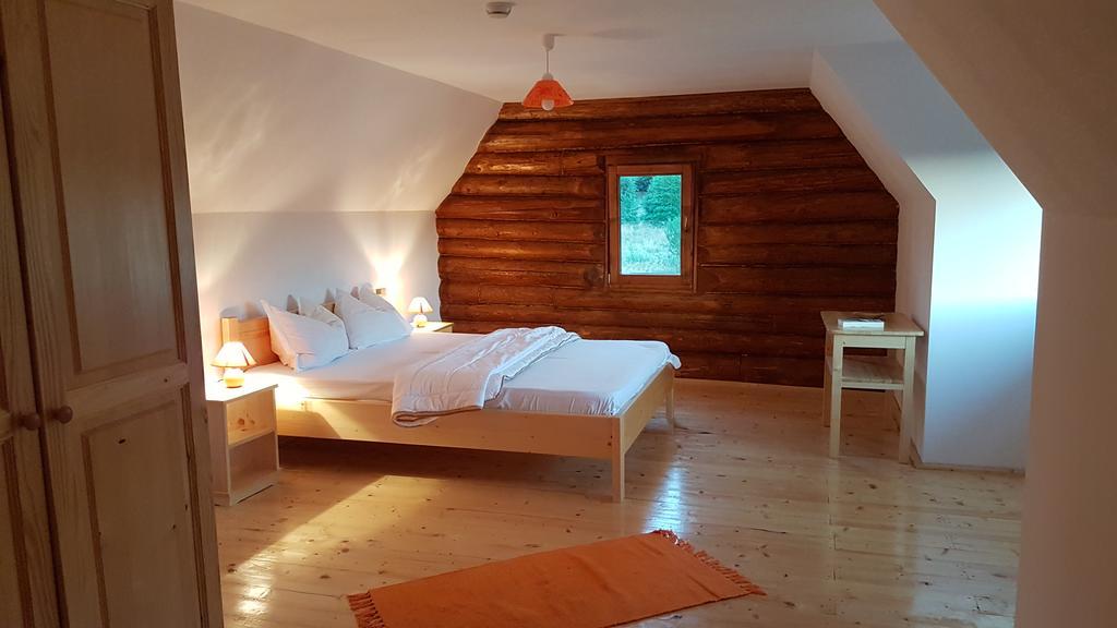 Willa Valea Vistisoarei Vistisoara Zewnętrze zdjęcie